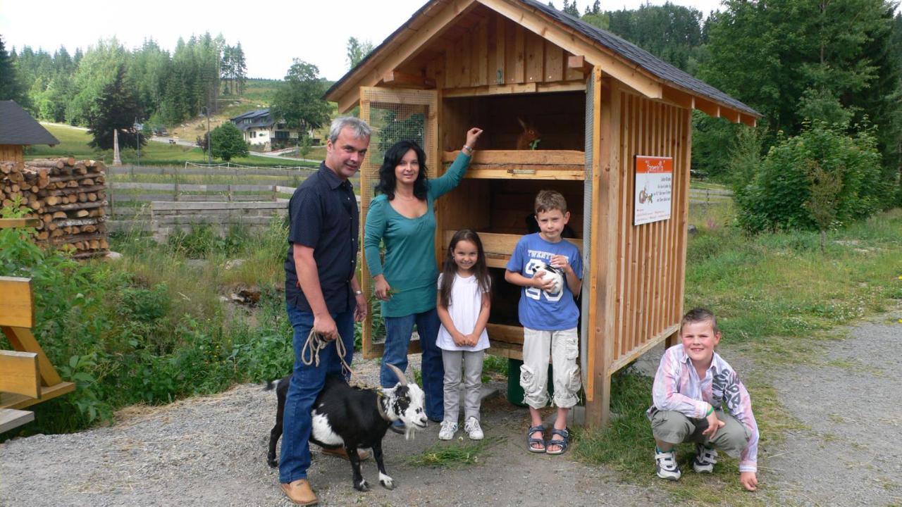 Alte Schleiferei Hotel Breitenbrunn  Eksteriør billede